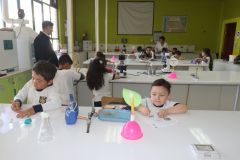 IMG_8318-800.jpg