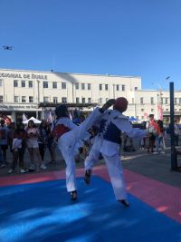 tkd-02-450-600.jpg