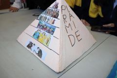 img_3966.jpg
