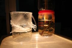 img_4826.jpg