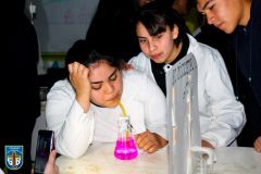 img_2952.jpg