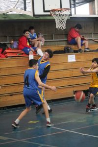 img_1151.jpg