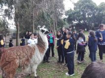bioparque2.jpg