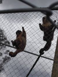 bioparque4.jpg