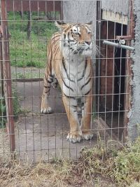 bioparque5.jpg