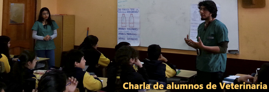 Fotografía: Constanza Muñoz