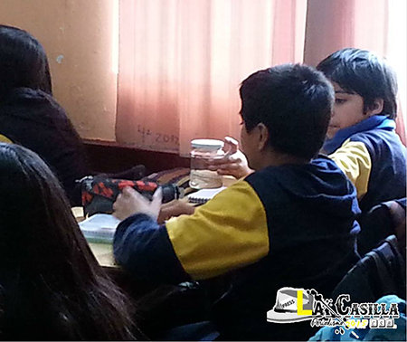 Alumnos observando muestras traídas por los futuros veterinarios. Fotografía: La Casilla