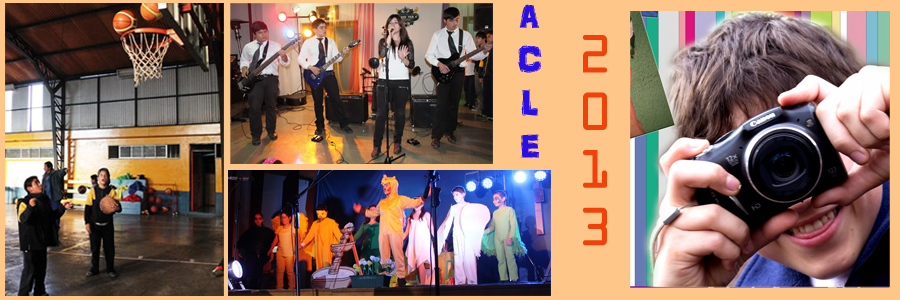 ACLE 2013