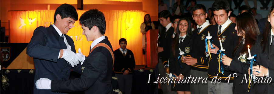 Licenciatura 4° Medio 2014