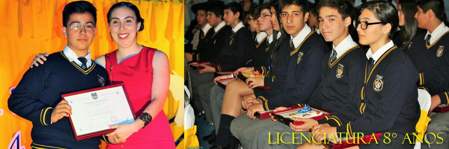 Licenciatura 8° Básicos