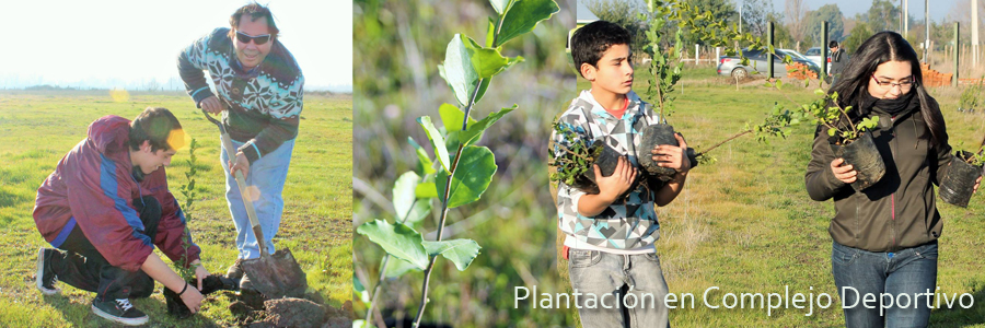 Plantación en Complejo Deportivo