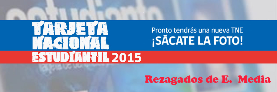 Rezagados TNE 2015